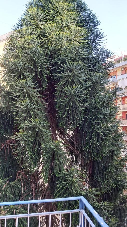 La Casa Del Cedro Apartment Naples Exterior photo